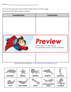Invertebrates Vertebrates - Super Teacher Worksheets
