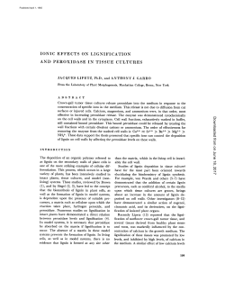 ionic effects on lignification and peroxidase in tissue cultures