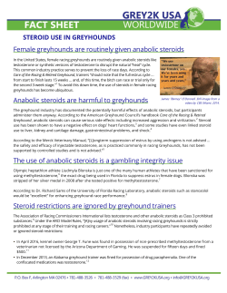 Female greyhounds are routinely given anabolic steroids Anabolic
