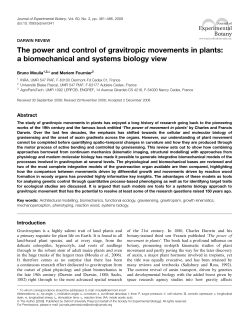 The power and control of gravitropic movements in plants: a