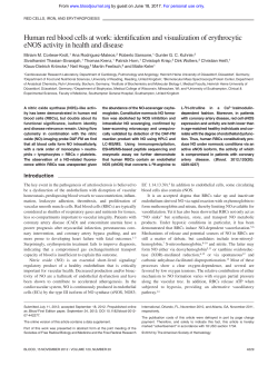 Human red blood cells at work: identification and