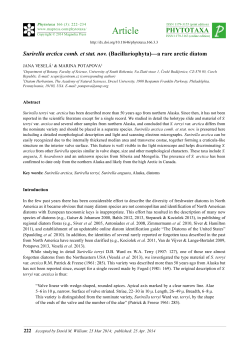 Preview - Magnolia press