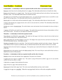 Good Buddies – Symbiosis Classroom Copy