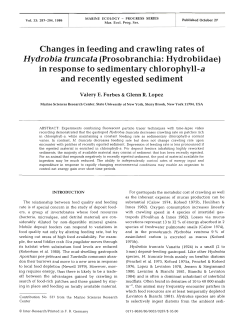 Changes in feeding and crawling rates of Hydrobia