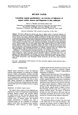 REVIEW PAPER Lacustrine organic geochemistryman