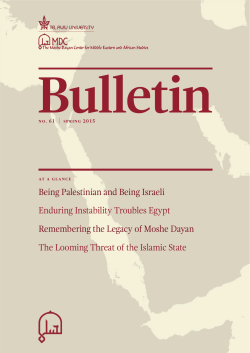 Being Palestinian and Being Israeli Enduring Instability Troubles