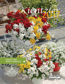 2017 Kientzler Catalog