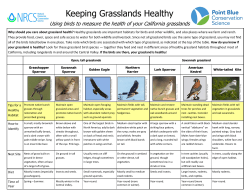 Keeping Grasslands Healthy