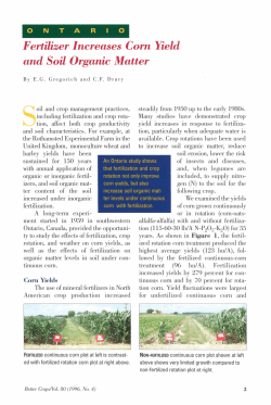 Fertilizer Increases Corn Yield and Soil Organic Matter