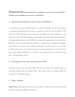 Protocol S1:Mechanochemical coupling in the myosin motor