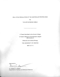 Cell Cycle Regulation of the Centriolar Protein Ana2
