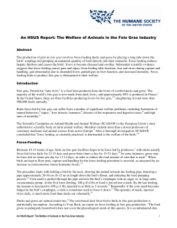 An HSUS Report: The Welfare of Animals in the Foie Gras