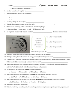 Name: 7 grade Review Sheet CBA #1
