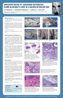 e. guagu&egrave;re, f. degorce-rubiales, o. verola, a. muller