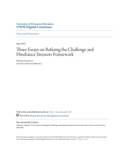 Three Essays on Refining the Challenge and Hindrance Stressors
