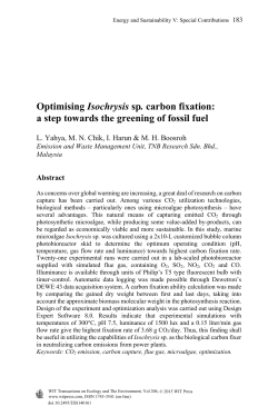 Optimising Isochrysis sp. carbon fixation: a step towards