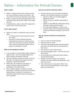 Rabies - Information for Animal Owners