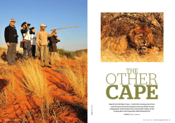 Head to the Northern Cape &mdash; South Africa`s largest