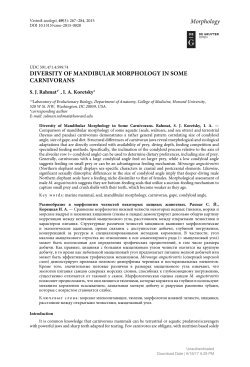 DIVERSITY OF MANDIBULAR MORPHOLOGY IN