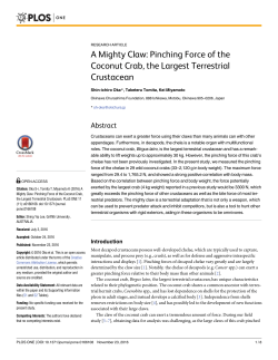 A Mighty Claw: Pinching Force of the Coconut Crab, the Largest