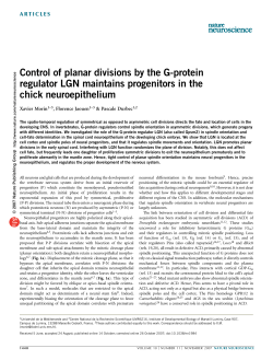 Control of planar divisions by the G-protein regulator
