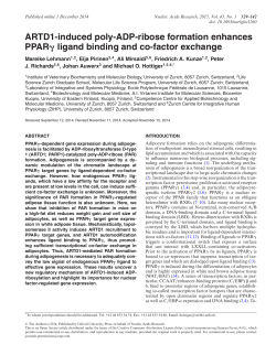 ARTD1-induced poly-ADP-ribose formation