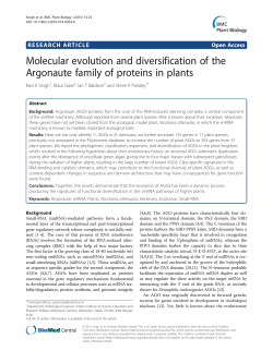 Molecular evolution and diversification of the Argonaute family of