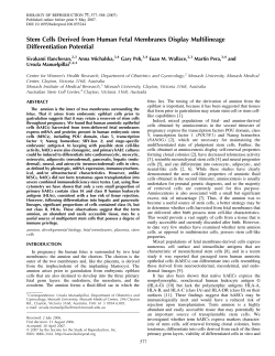 Stem Cells Derived from Human Fetal Membranes Display