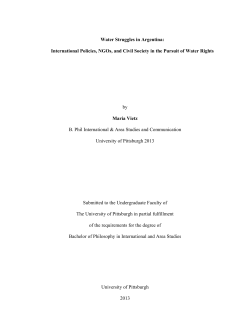 i Water Struggles in Argentina: International Policies, NGOs, and