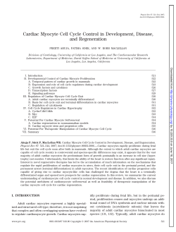 Cardiac Myocyte Cell Cycle Control in Development, Disease, and