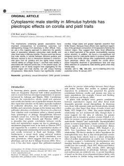 Cytoplasmic male sterility in Mimulus hybrids has pleiotropic effects