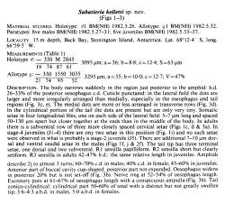Original description (NemasLan)