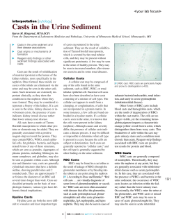 Casts in the Urine Sediment