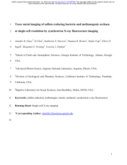 Trace metal imaging of sulfate-reducing bacteria and