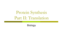 Protein Synthesis Part II: Translation