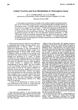 Cobalt Toxicity and Iron Metabolism in Neurospora crassa