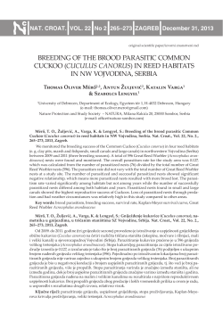 BREEDING OF THE BROOD PARASITIC COMMON CUCKOO
