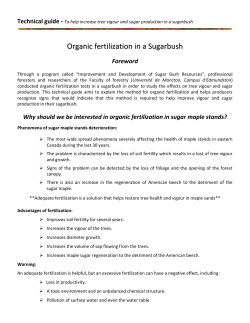 Organic fertilization in a Sugarbush