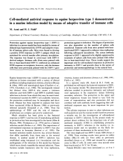 Cell-mediated antiviral response to equine herpesvirus type 1