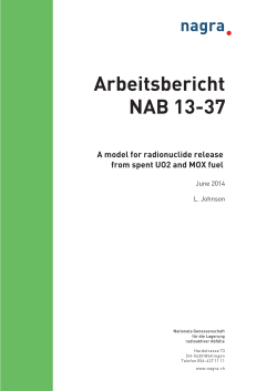 Arbeitsbericht NAB 13-37