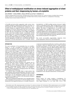 Effect of methylglyoxal modification on stress
