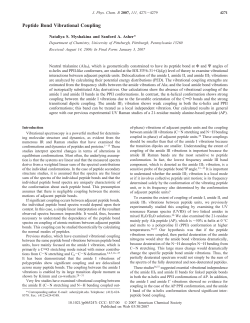 Peptide Bond Vibrational Coupling