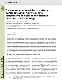 The evolution of reproductive diversity in Afrobatrachia: A