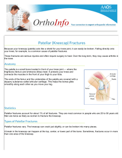 Patellar (Kneecap) Fractures-OrthoInfo - AAOS