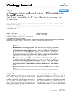 p53 represses human papillomavirus type 16 DNA replication via