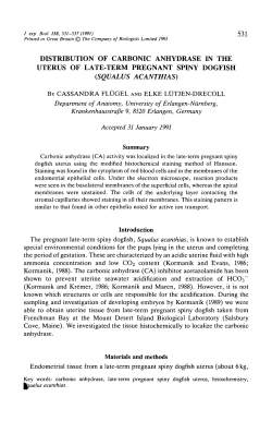 DISTRIBUTION OF CARBONIC ANHYDRASE IN