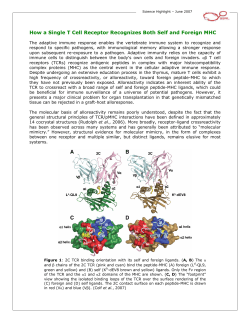 How a Single T Cell Receptor Recognizes Both Self and Foreign MHC
