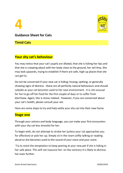 Guidance Sheet for Cats Timid Cats Your shy cat`s behaviour Stage
