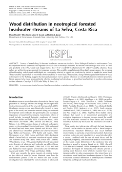 Wood distribution in neotropical forested