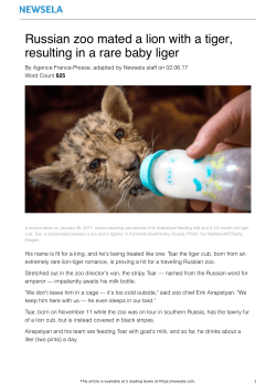 Russian zoo mated a lion with a tiger, resulting in a rare baby liger